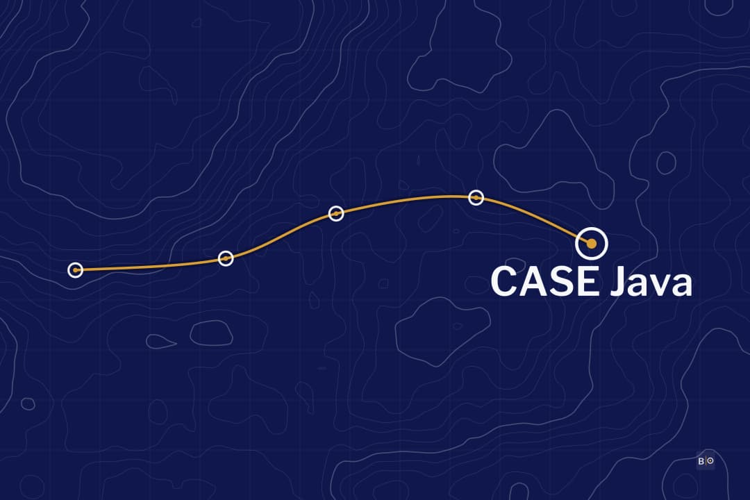 CASE Java Study Guide: EC-Council's Secure Java Exam, Weights, and Plan