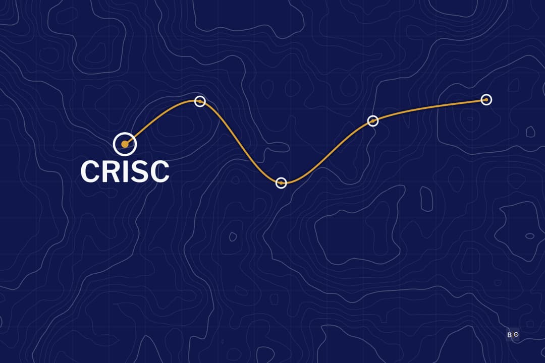 CRISC Study Guide: The 2025 Outline, the New Experience Rule and How to Prepare