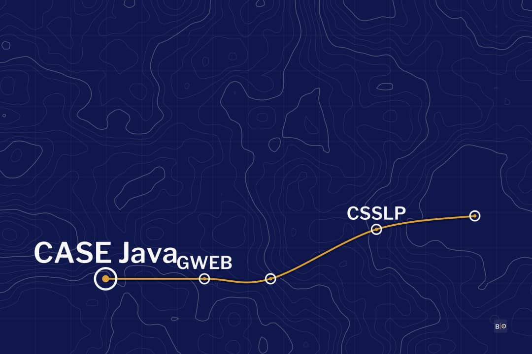 From Developer to Application Security: OWASP ASVS, SAMM and the Credentials That Test Code