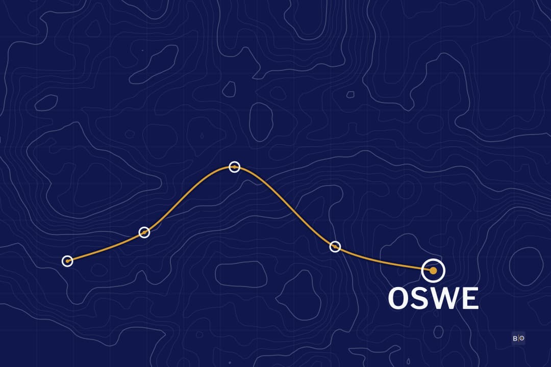 OSWE Study Guide: WEB-300, the 48-Hour Code Review Exam and Its Script Rule